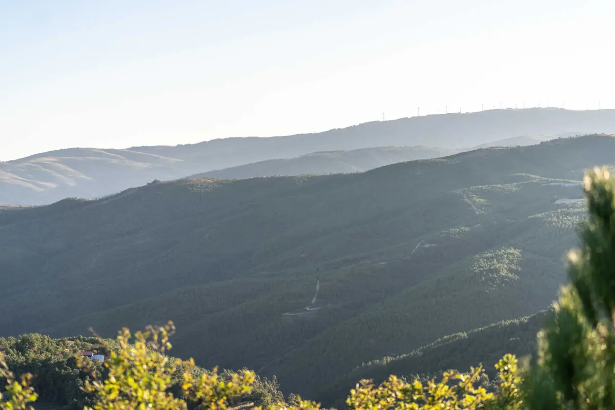 Os trabalhos no terreno devem arrancar entre finais de abril e início de maio