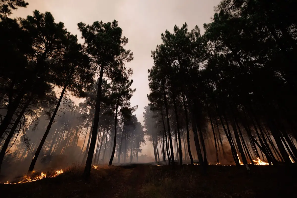 O fogo que atingiu Mondim de Basto teve início às 23.45 de sábado, em Sirarelhos, progredindo pela serra do Alvão