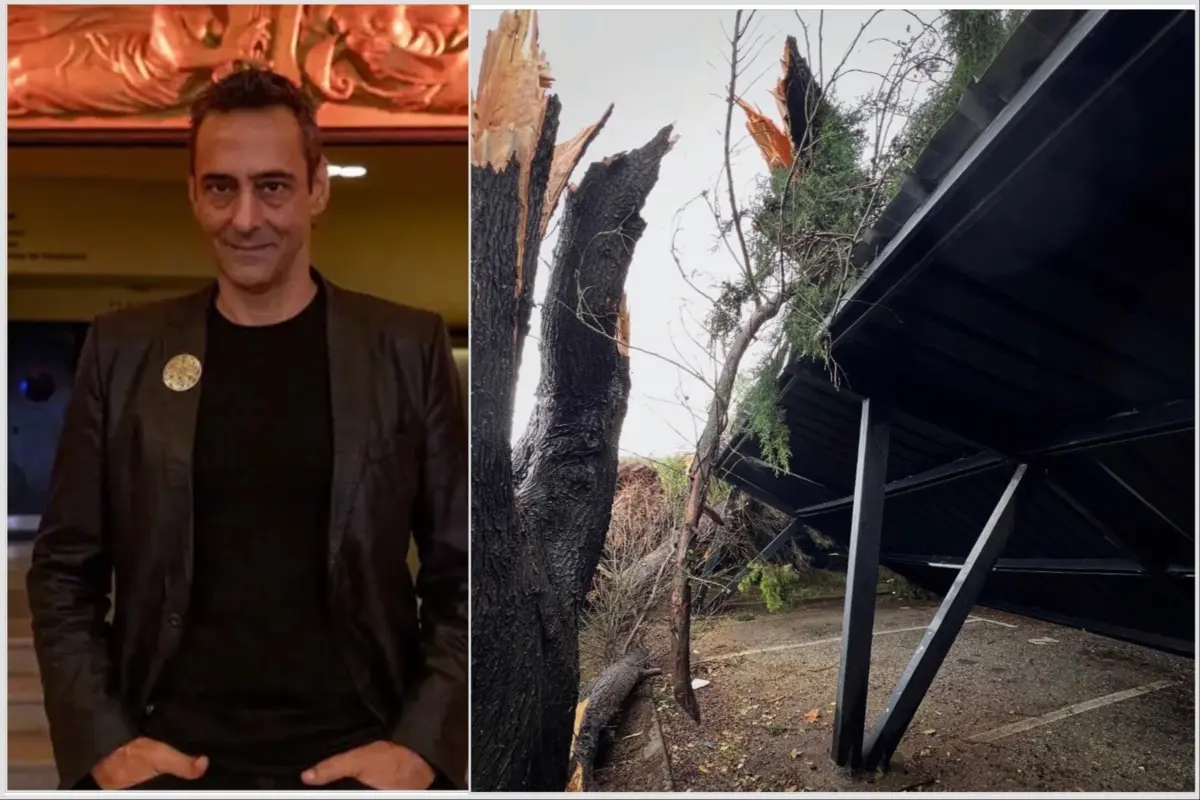 Árvores arrancadas, troncos partidos e ramos espalhados pelo chão no estúdio de Luís de Matos, em Ansião, após a passagem da depressão Kristin