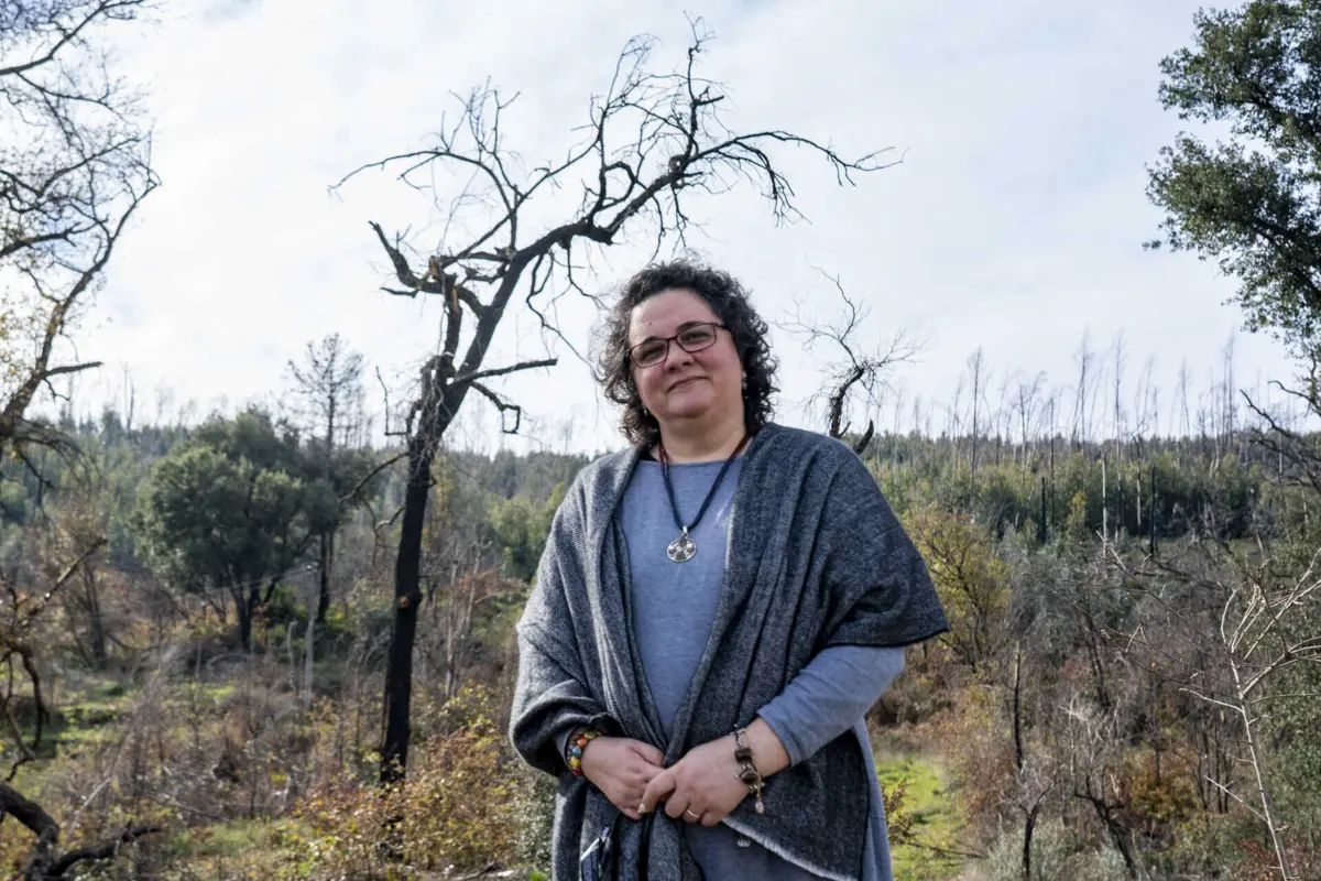 Dina Duarte pede que seja aplicada verba do Revita