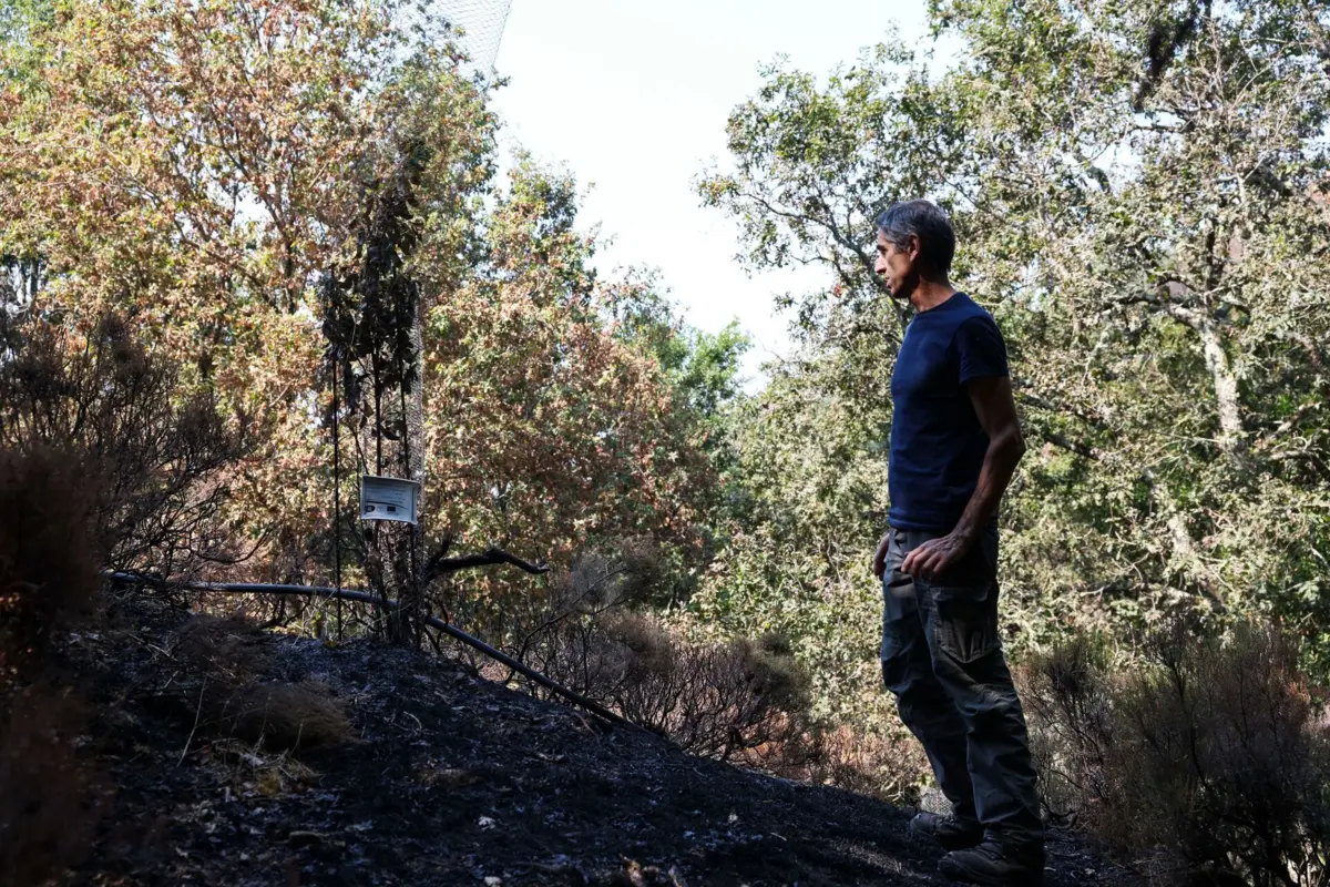 António Carlos, habitante permanente da aldeia de xisto da Cerdeira, decidiu cuidar de um bosque de folhosas