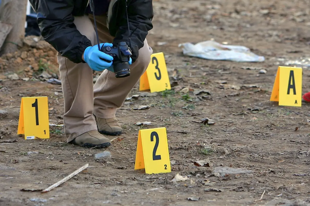 Empresas privadas de consultadoria forense estão em expansão