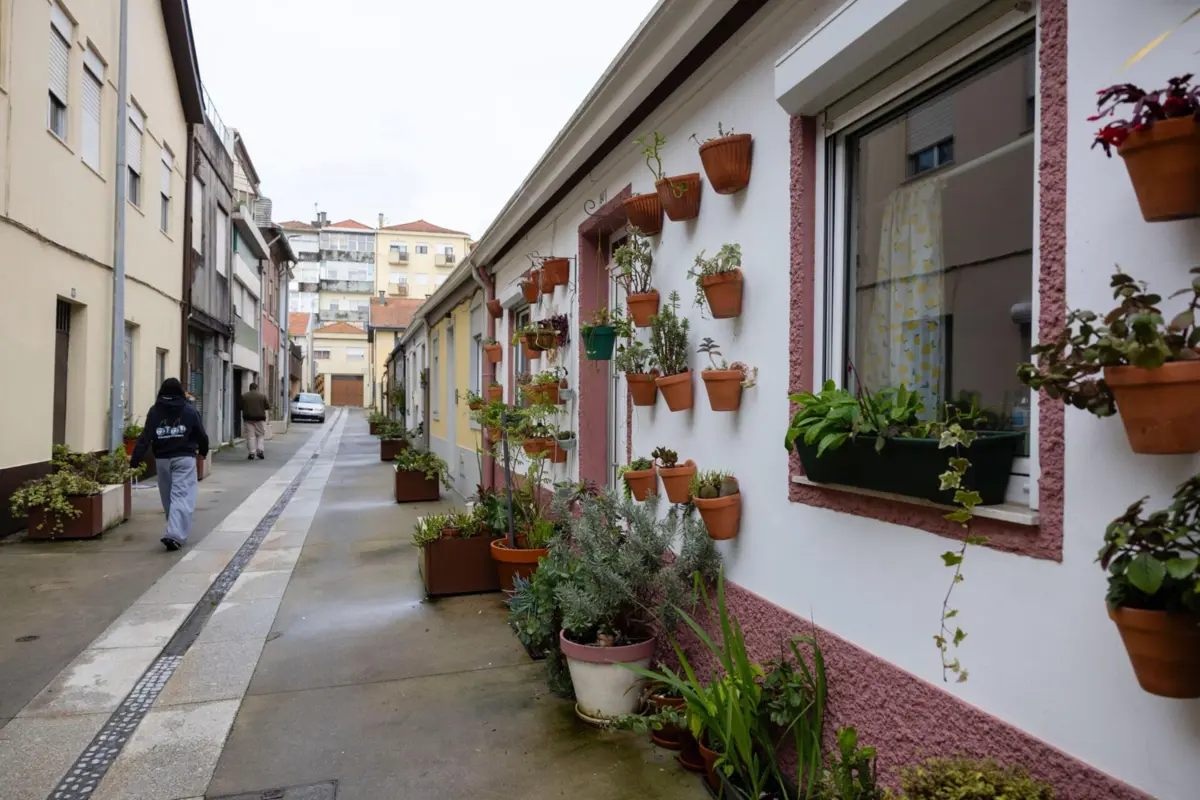 Vasos colocados pelos moradores na Travessa das Águas