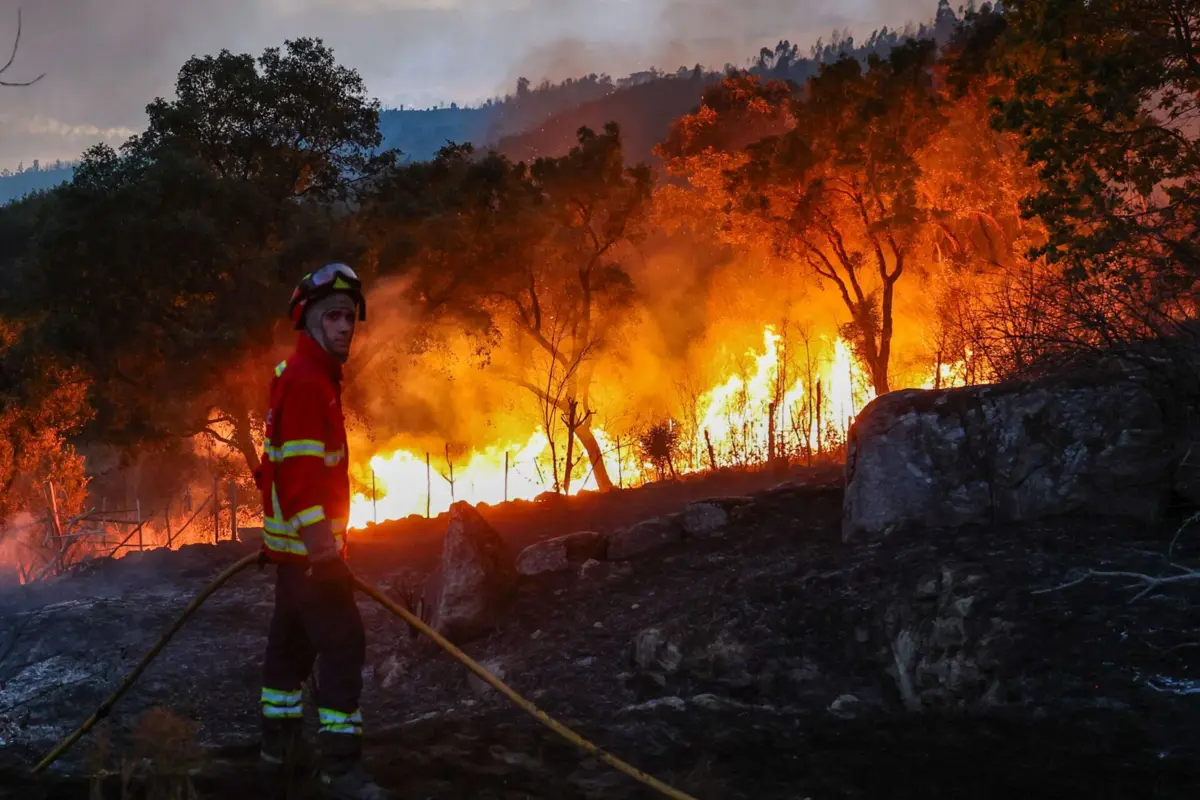 O incêndio tem uma frente de cerca de 200 metros
