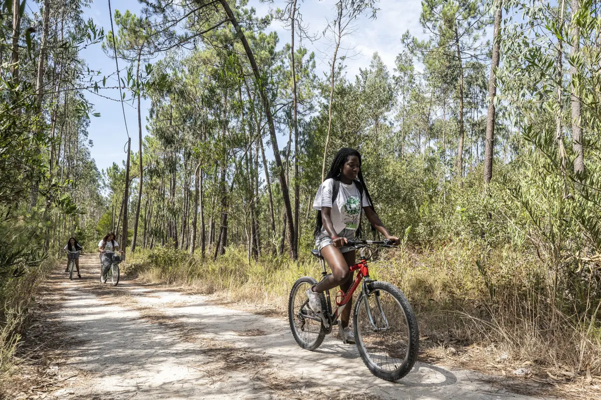 Imagem de contexto do artigo Jovens monitorizam a floresta: "Vimos fumo e alertamos os bombeiros"