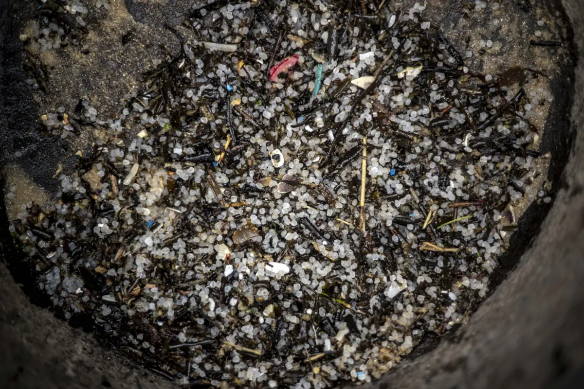 O ministro do Ambiente, Duarte Cordeiro