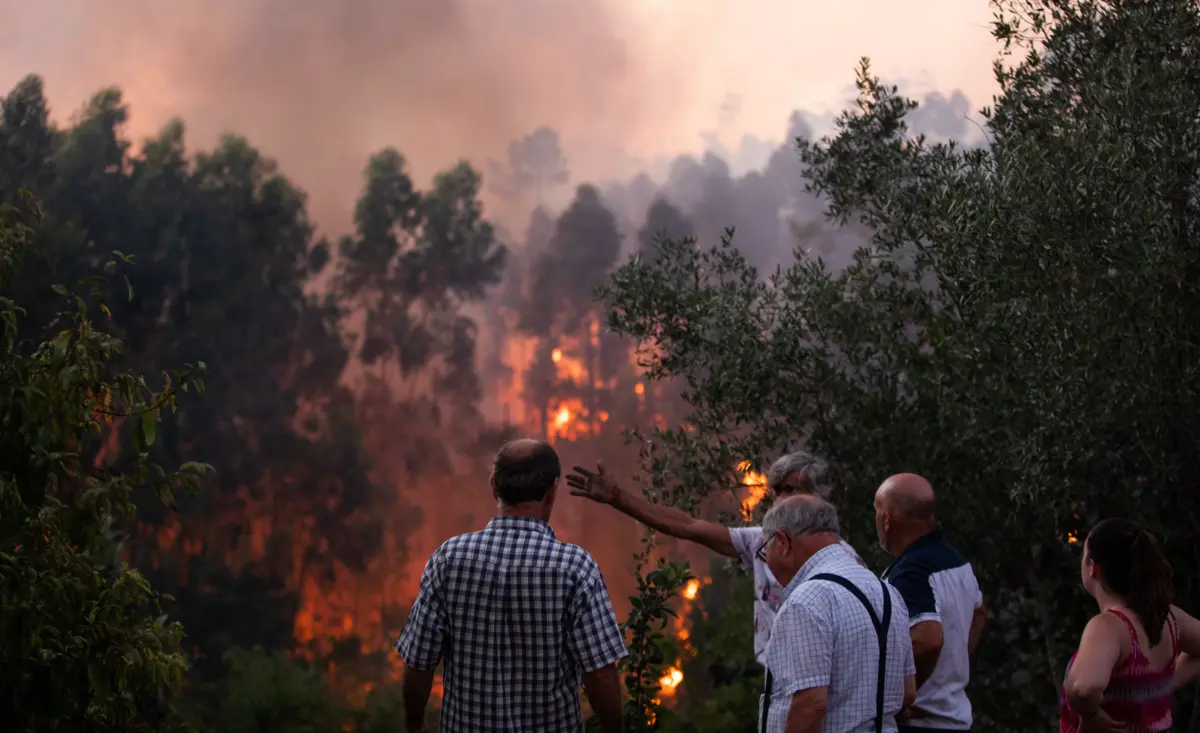 Imagem de contexto do artigo Localidade de Óbidos evacuada devido a incêndio em Ourém