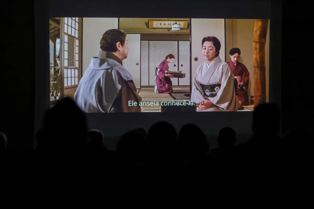 Em dez anos, cineclubes registaram um acréscimo de influência na ordem dos 65%