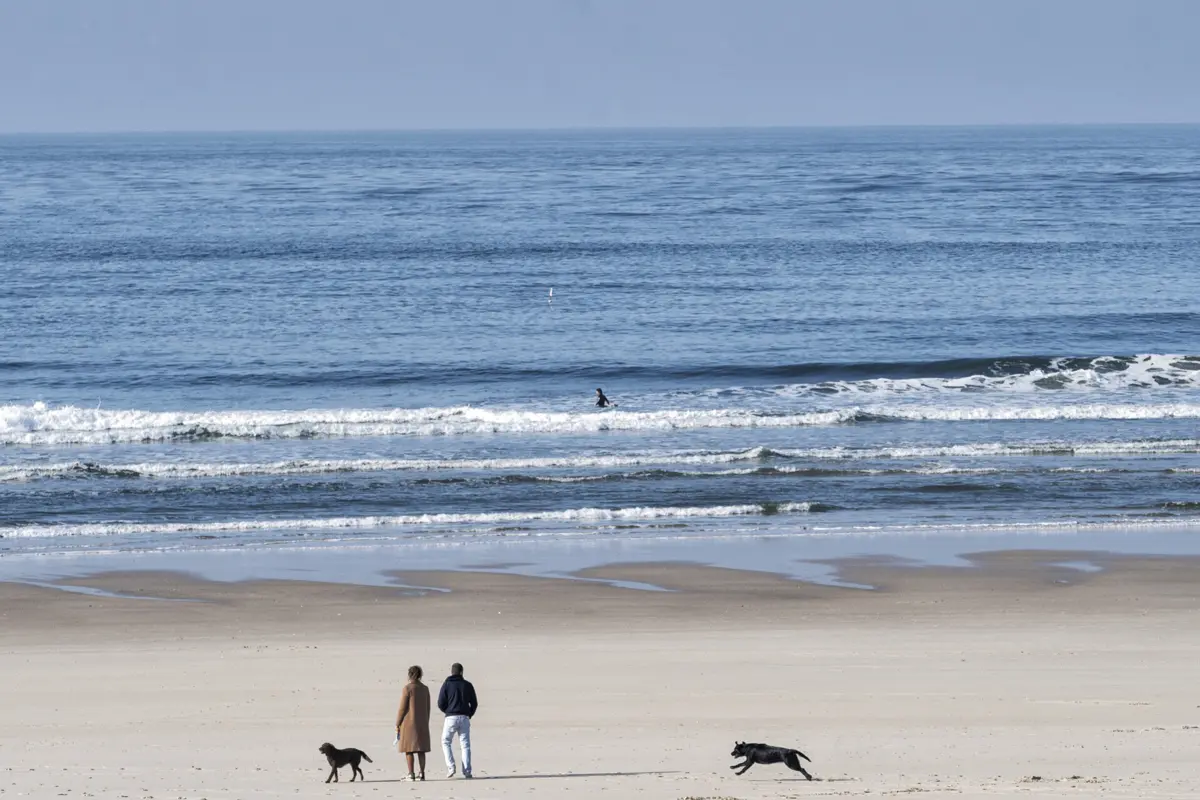 O presidente da Câmara de Ílhavo considera que “o pico ainda não passou” e que “só lá para maio o mar acalma”