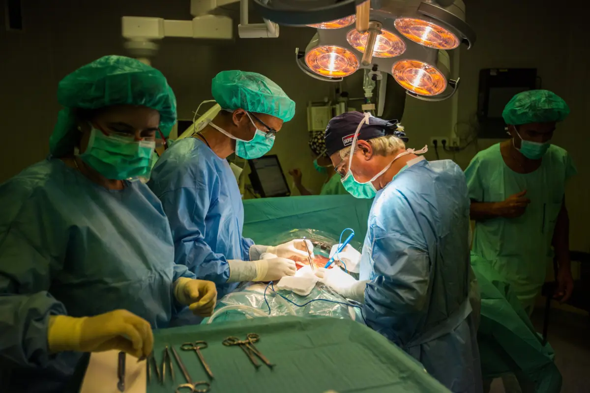 Transplantes de órgãos até junho batem recorde da década