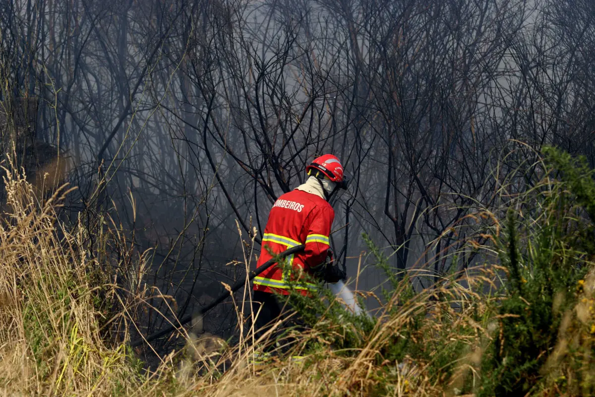 Incêndio consumiu uma área de mato