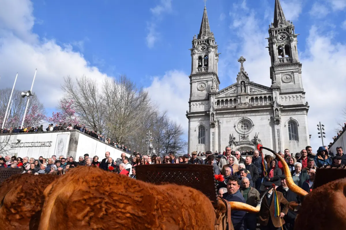 Benção do gado é ponto alto da Feira dos 27 em São Torcato
