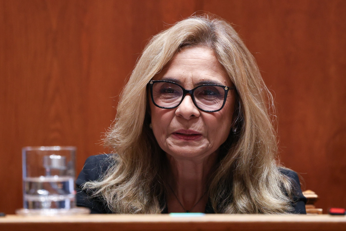 Ana Paula Martins disse que "há mulheres que vêm a Portugal apenas para fazer o parto"