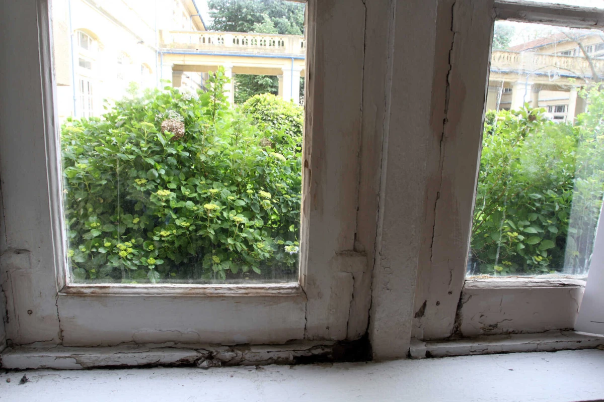 Imagem de contexto do artigo Zero quer apoios à eficiência abertos a arrendatários