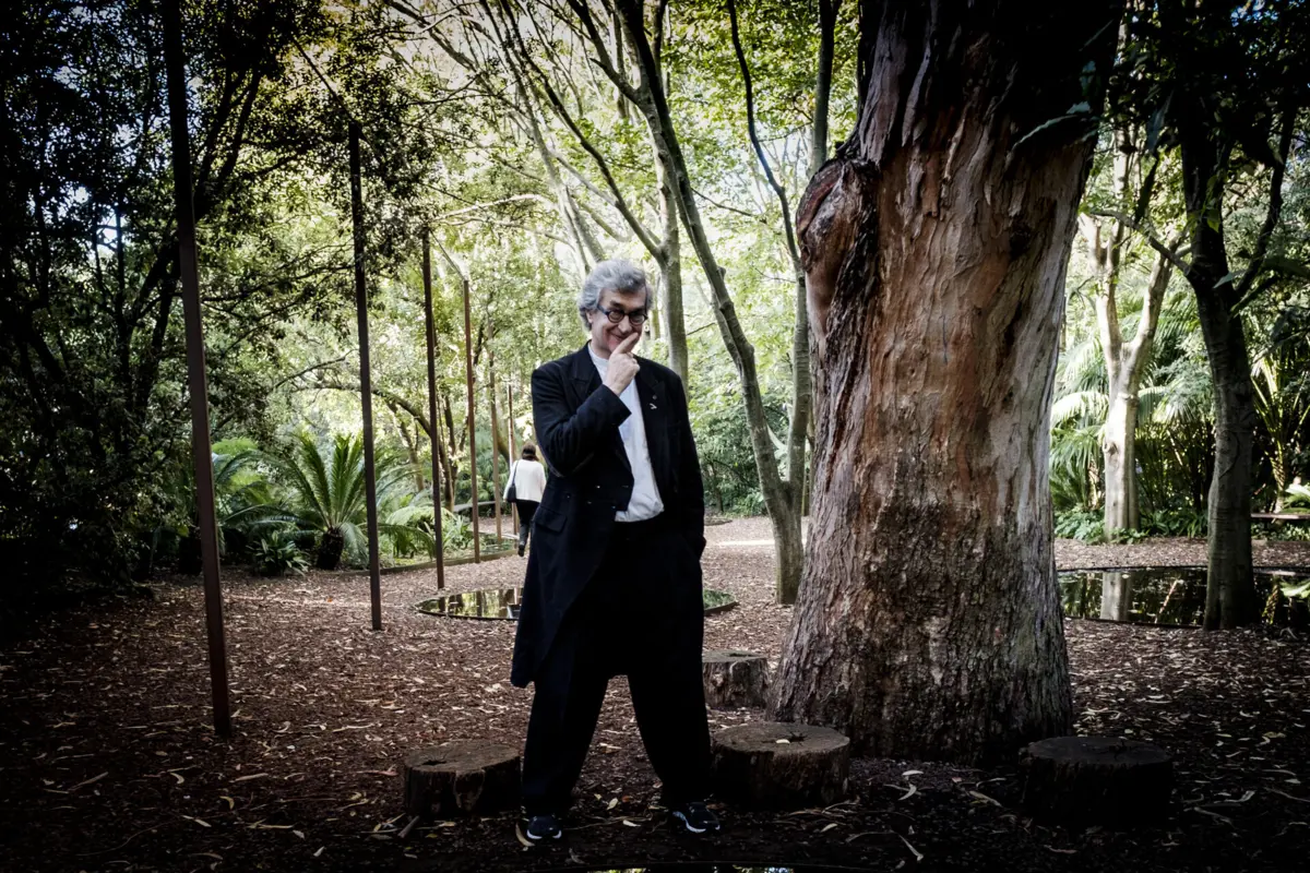 Wim Wenders: "Se pensasse a curto prazo ficava deprimido. Pensar a longo prazo é muito melhor, é esperança"