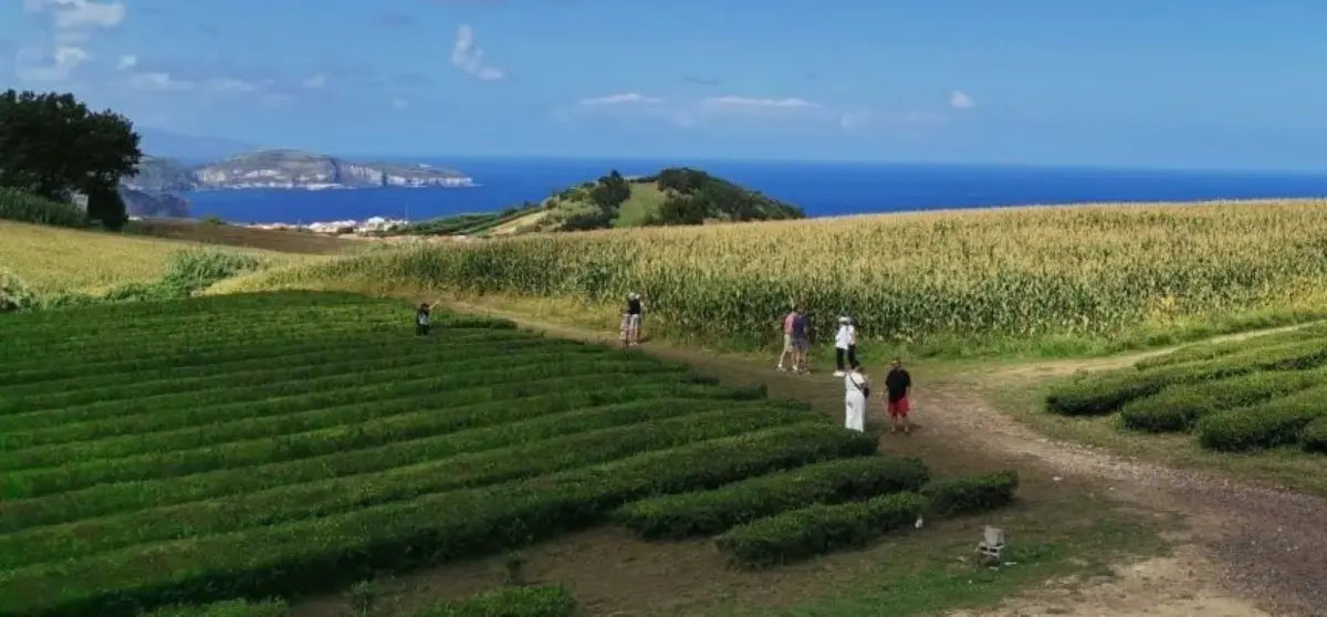 Último trimestre dos Açores marcado por redução de visitantes