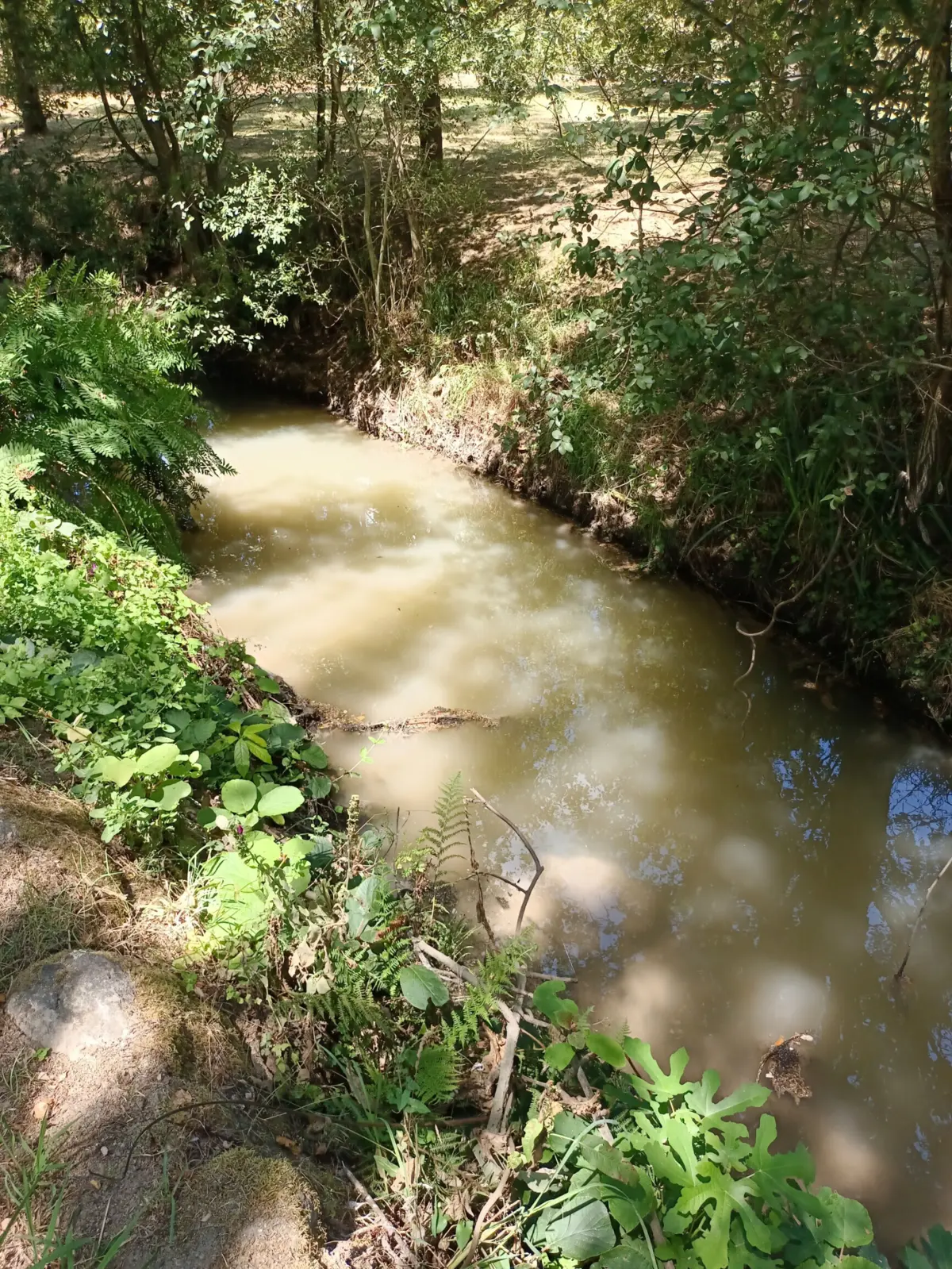 Água do rio Pelhe poluída no Parque da Devesa