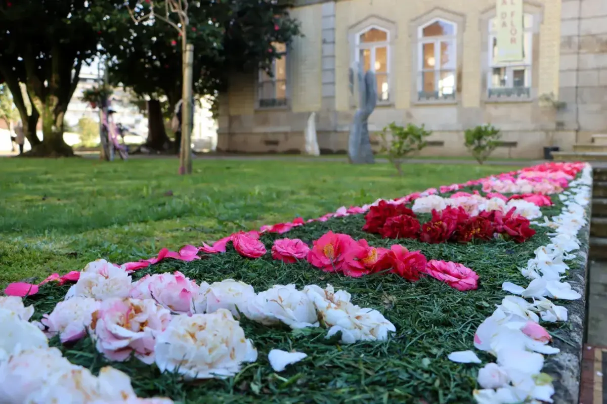 Festival terá atividades gratuitas