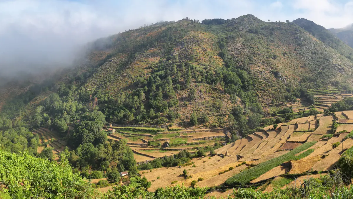 Imagem de contexto do artigo Roteiro: encontrar e fotografar Allure em Portugal