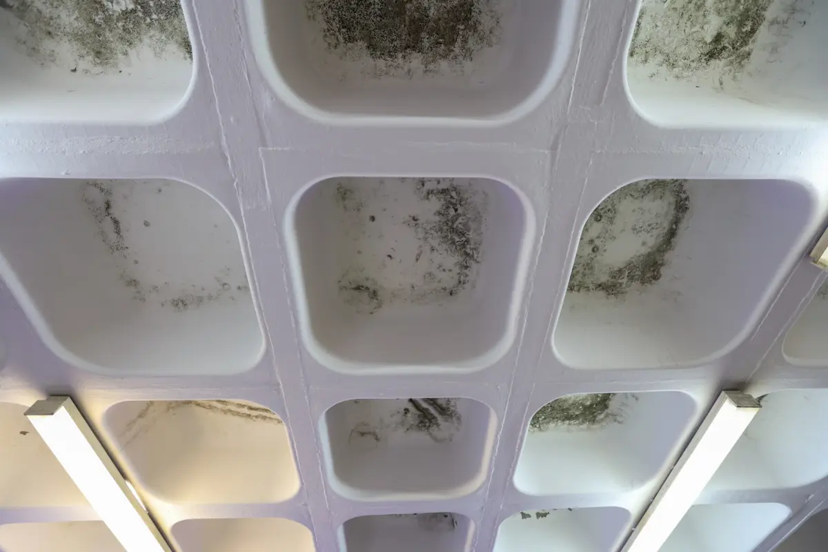 Condensação pode causar danos em paredes e materiais de construção