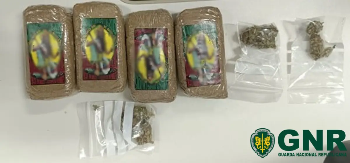 Traficante detido com haxixe e canábis