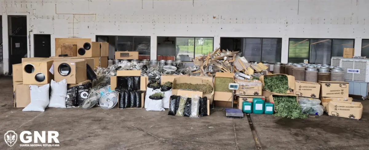 Material apreendido pela GNR usado para cultivar canábis