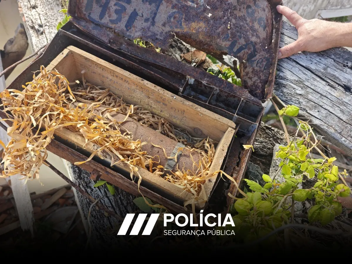 Polícia recuperou munição em casa abandonada