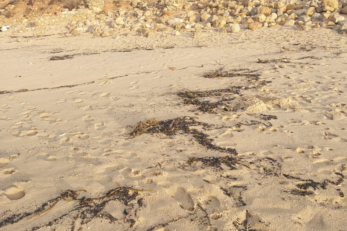 A maré e a falta de visibilidade fizeram que fosse apenas possível fazer a recolha do material poluente durante a manhã deste domingo