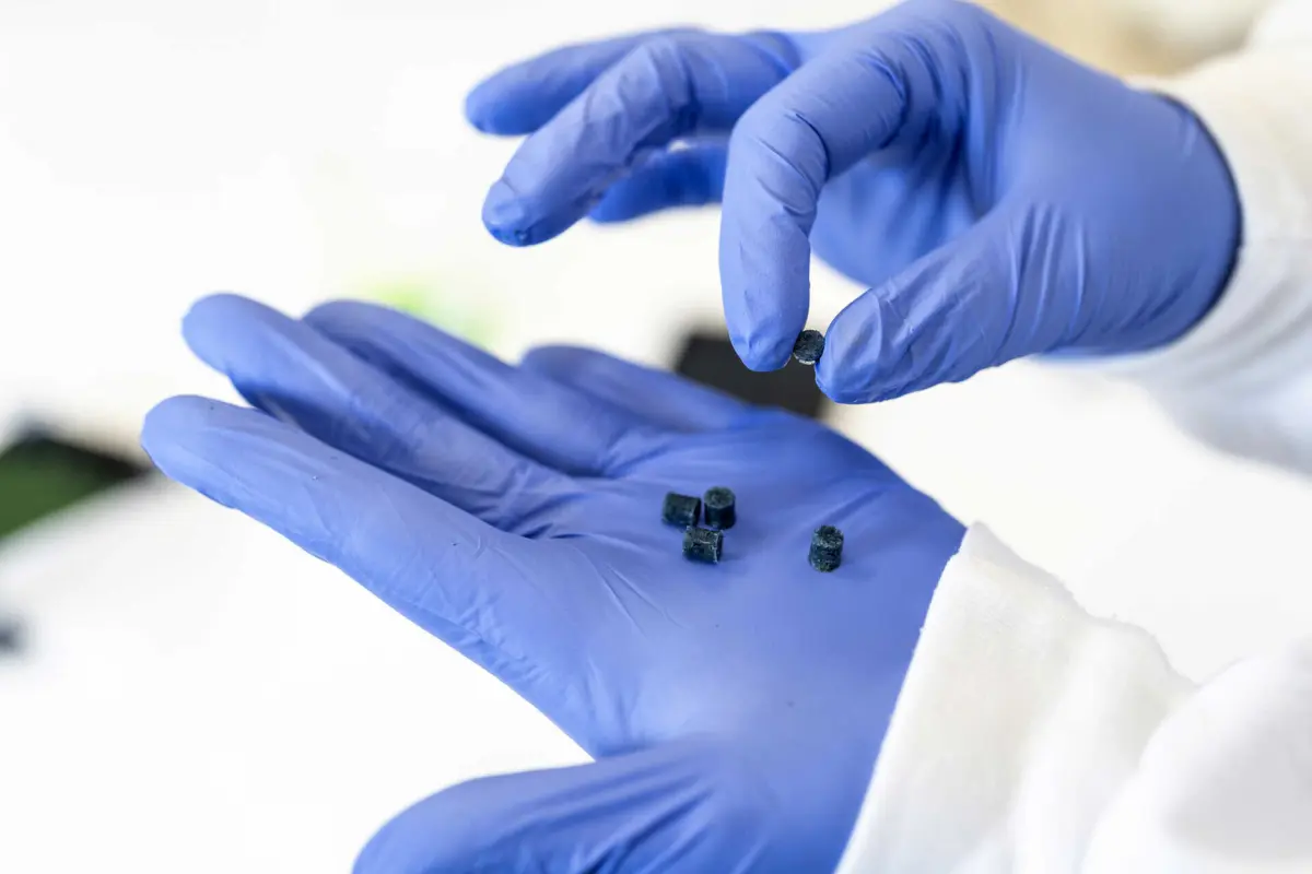 A descoberta responde a uma necessidade crítica de novos medicamentos antimicrobianos