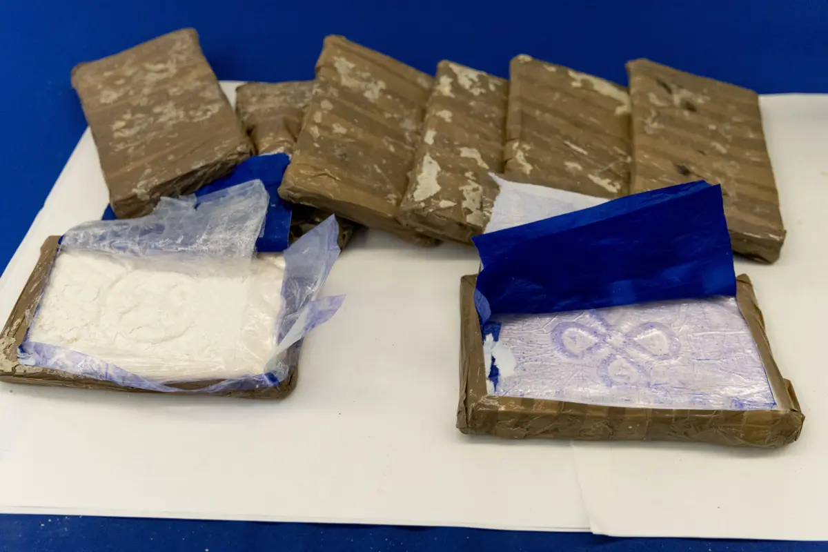 Cocaína apreendida pela PJ foi avaliada em mais de 30 milhões de euros