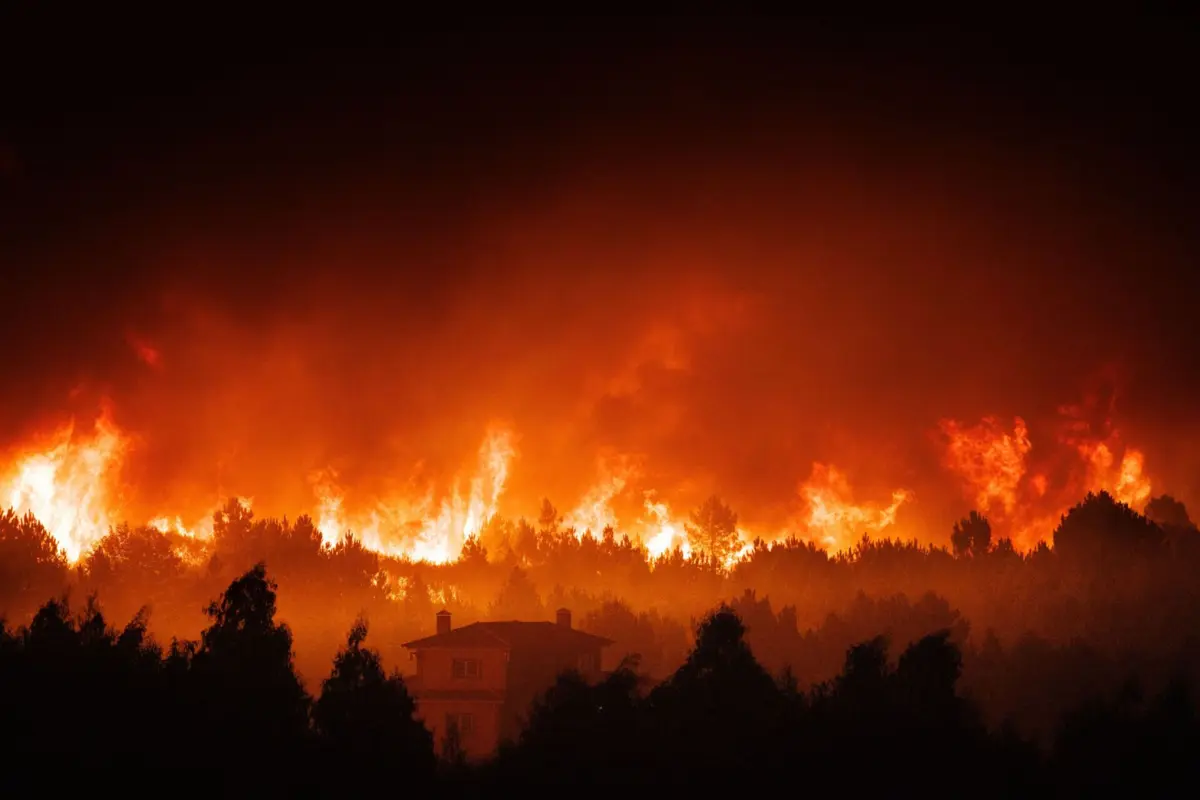 85% dos 650 hectares da área baldia poderão ter ficado destruídos pelo fogo