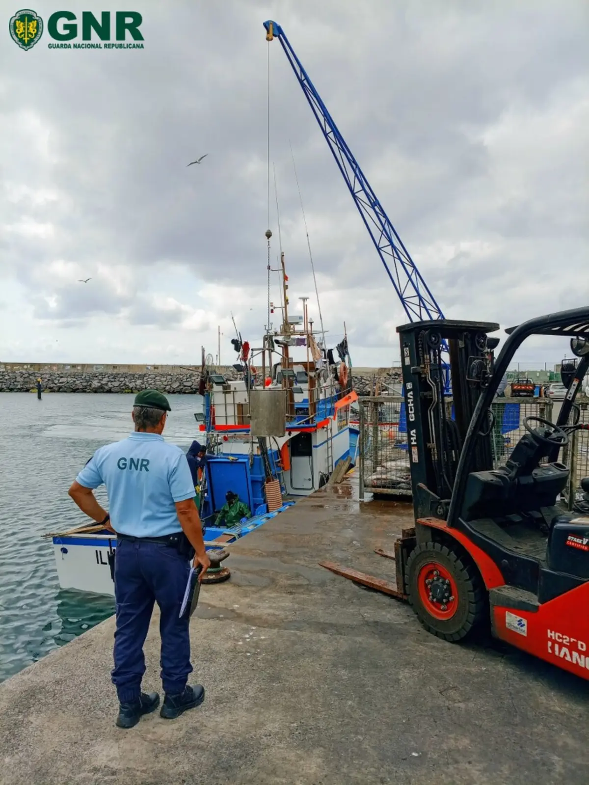 O pescado capturado em excesso foi apreendido e posteriormente entregue na lota de Vila do Porto