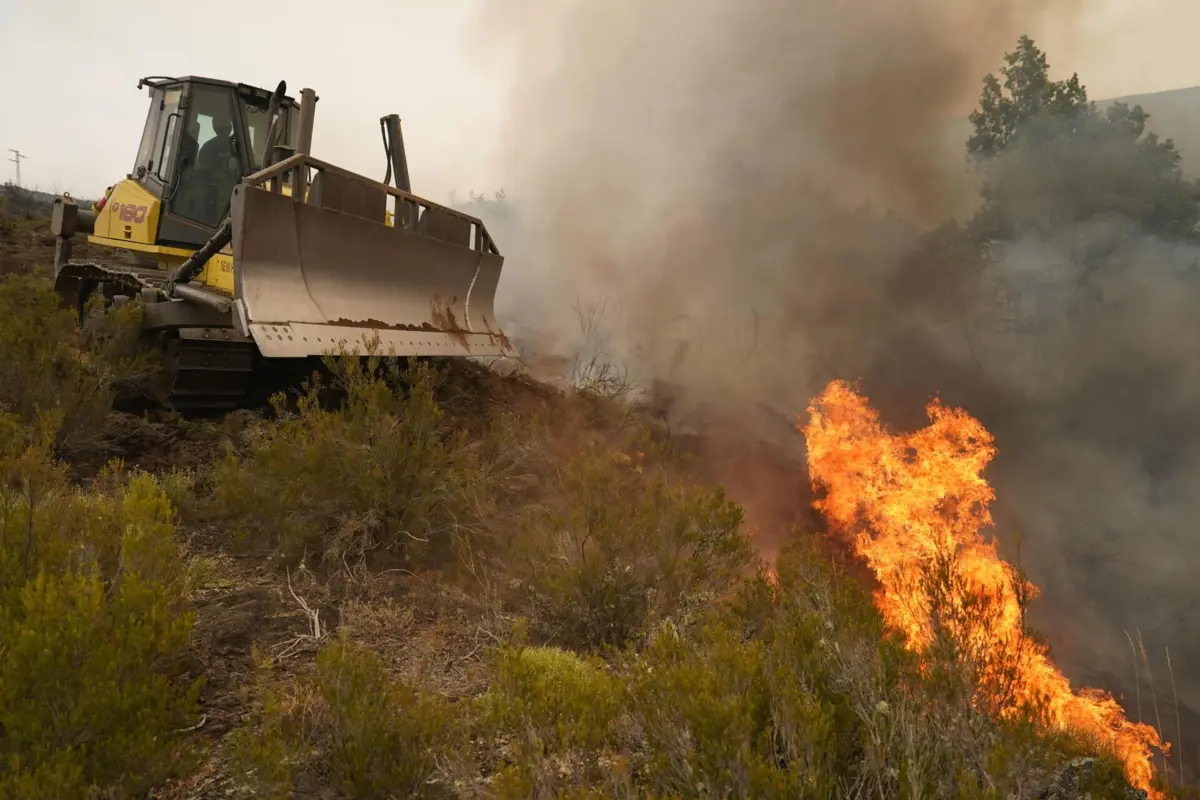 Área ardida este ano em Espanha ronda os 400 mil hectares, um recorde anual