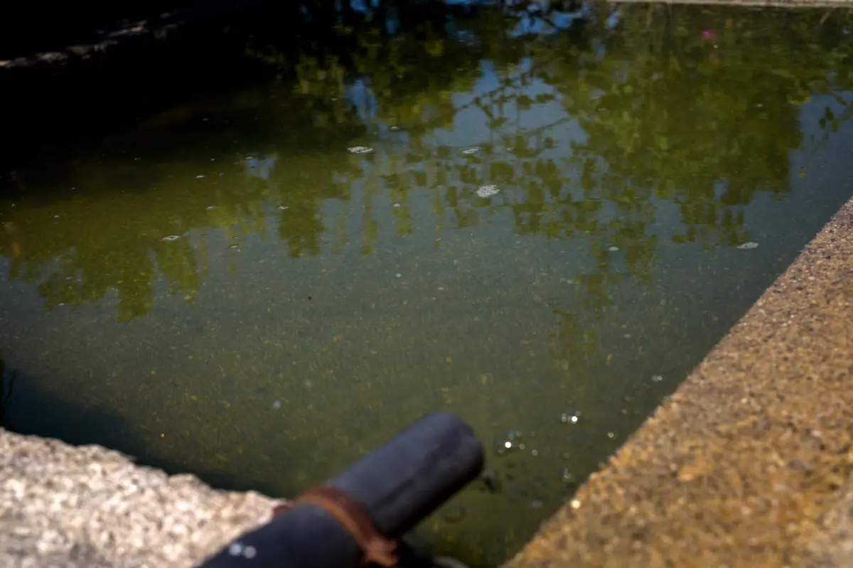Os afogamentos em tanques e em piscinas são uma das principais causas de morte de crianças em Portugal.