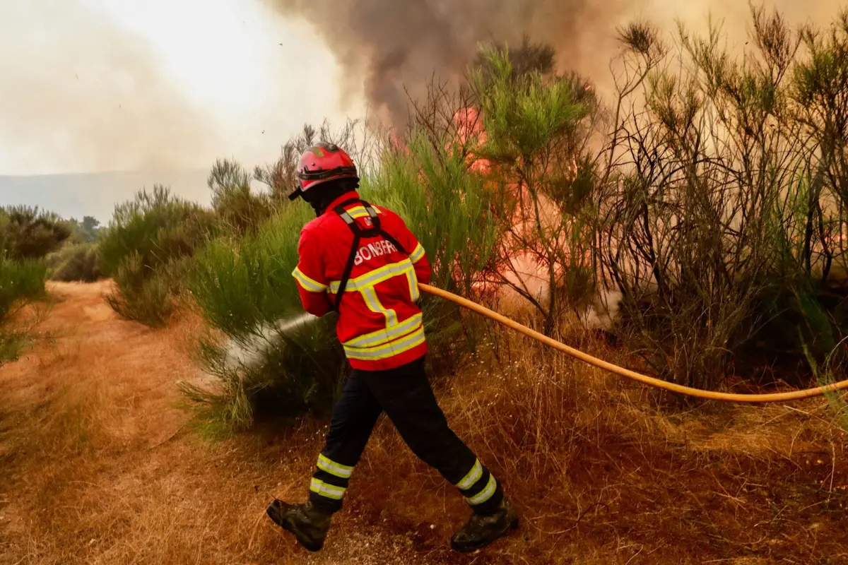 Imagem de contexto do artigo Homem detido por atear incêndio em Vialonga