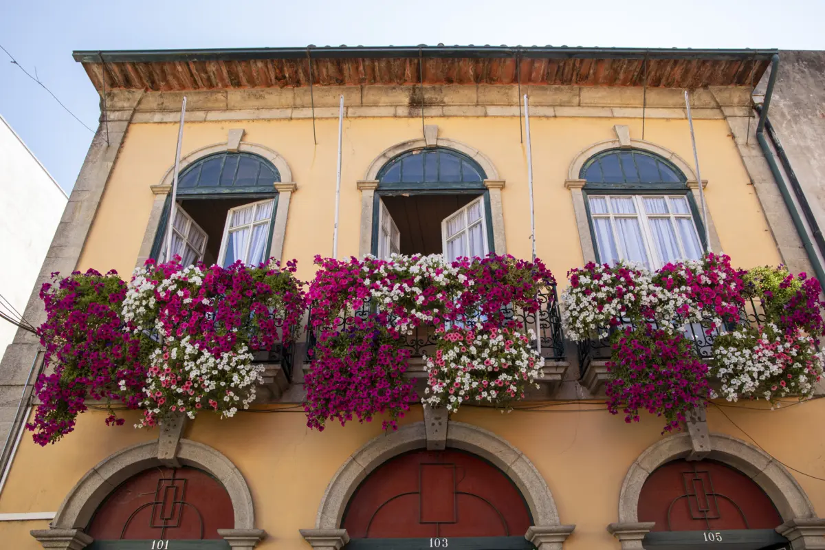 A iniciativa celebra a tradição portuguesa de decorar janelas e varandas com flores naturais