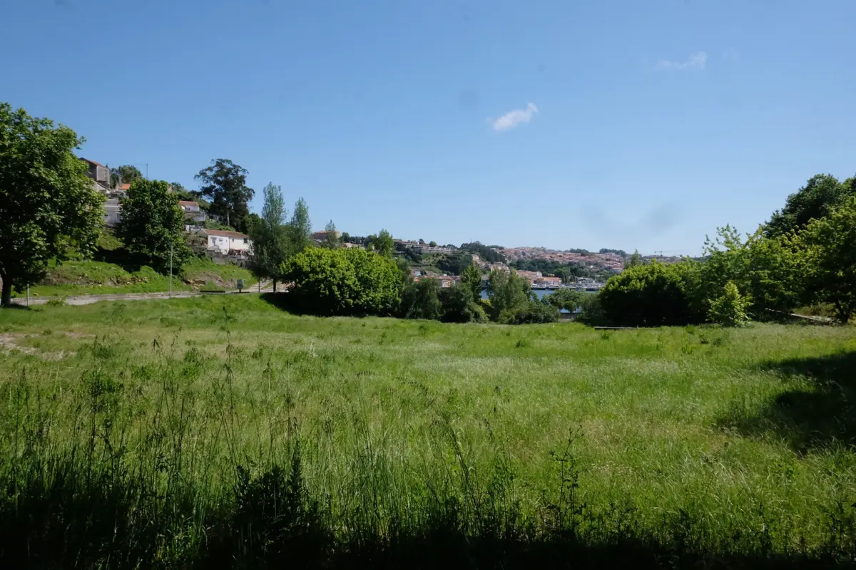 Aleixo, no Porto, viu as torres serem demolidas, mas o que está planeado é regressarem novas torres