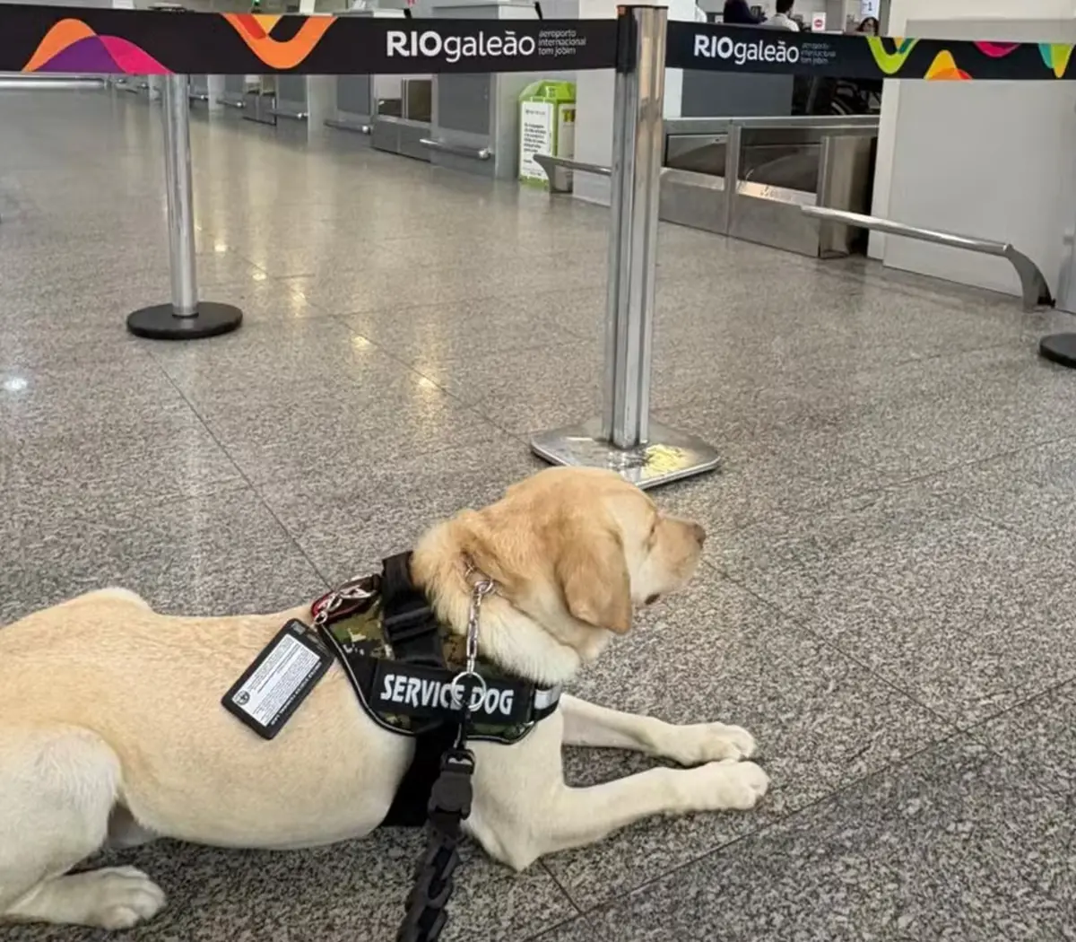 Tedy já foi impedido de voar duas vezes na cabina da TAP