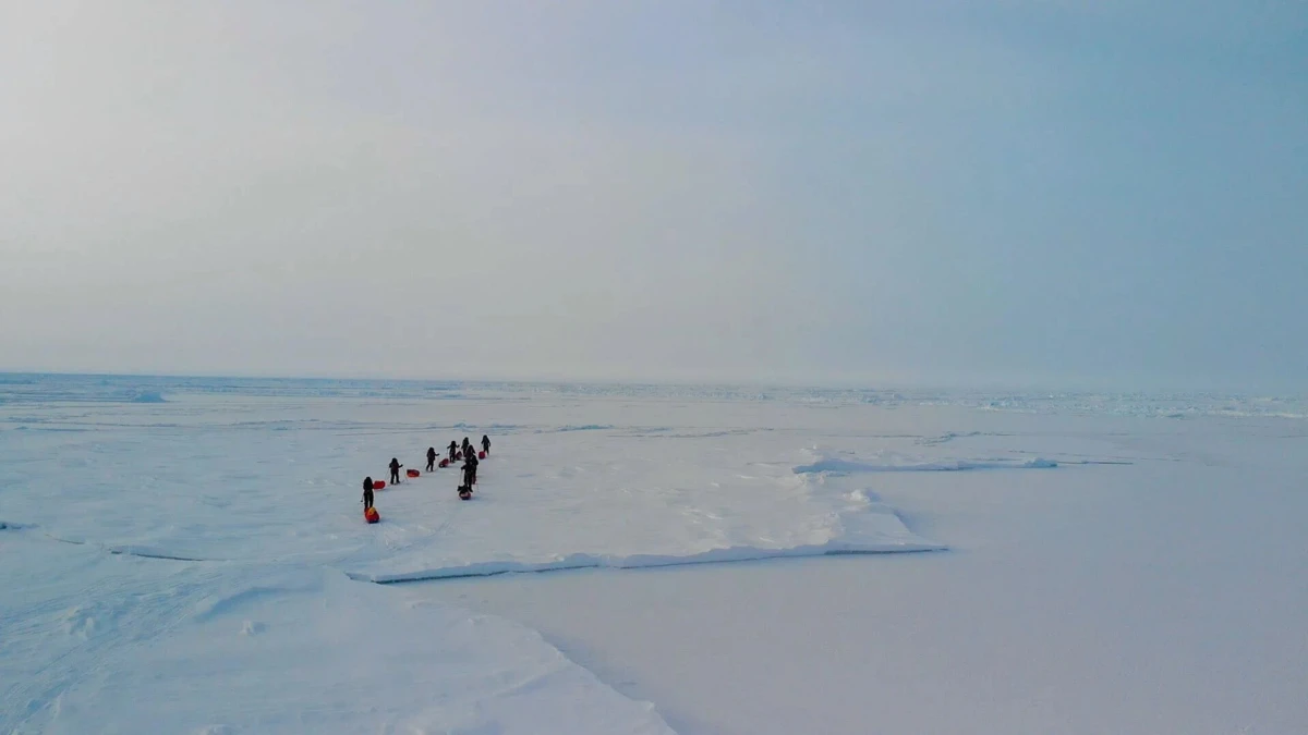 Onze mulheres que participaram na expedição vieram de paragens muito distintas