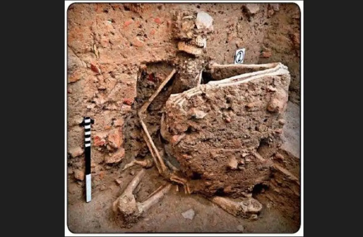 O esqueleto foi levado para o Museu Arqueológico Experimental, em Vadnagar