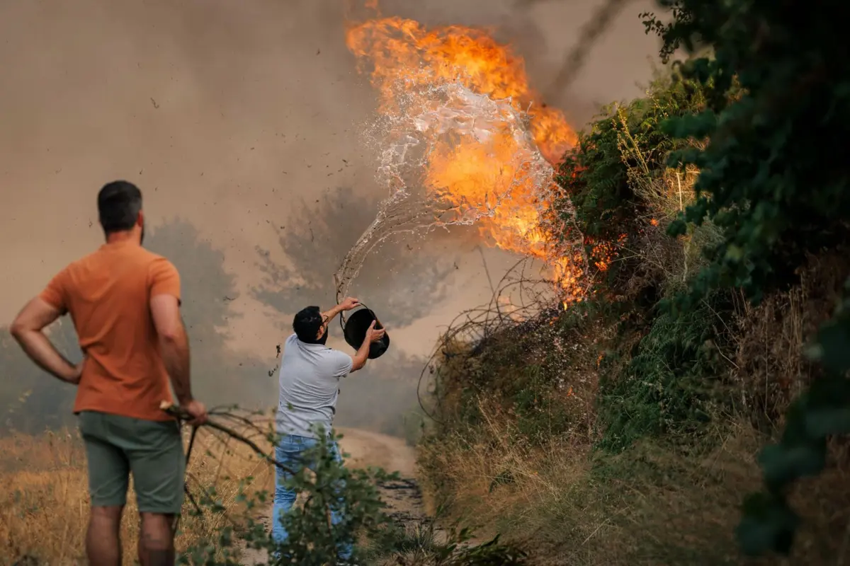 Mêda pede declaração de situação de calamidade por causa do fogo