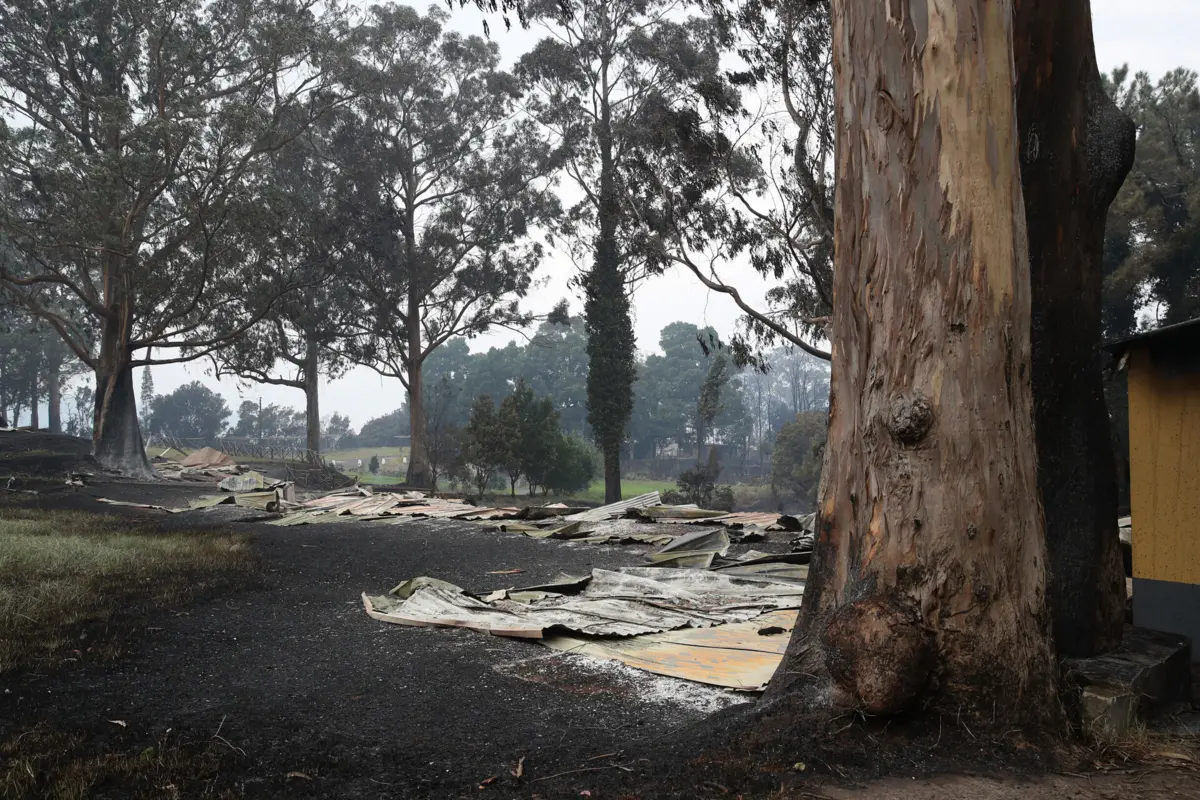 Neste momento está a ser feito o levantamento dos prejuízos causados pelos fogos