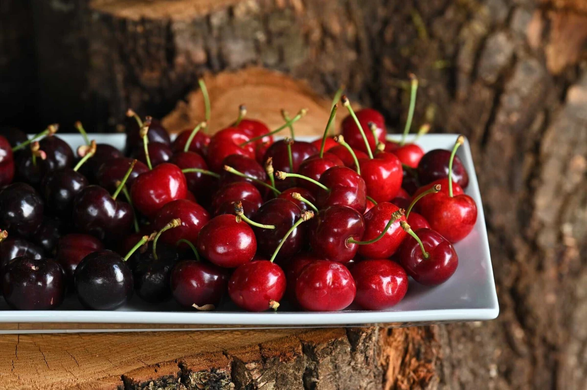 Os pomares de cerejeiras "registam quebras de produtividade muito significativas