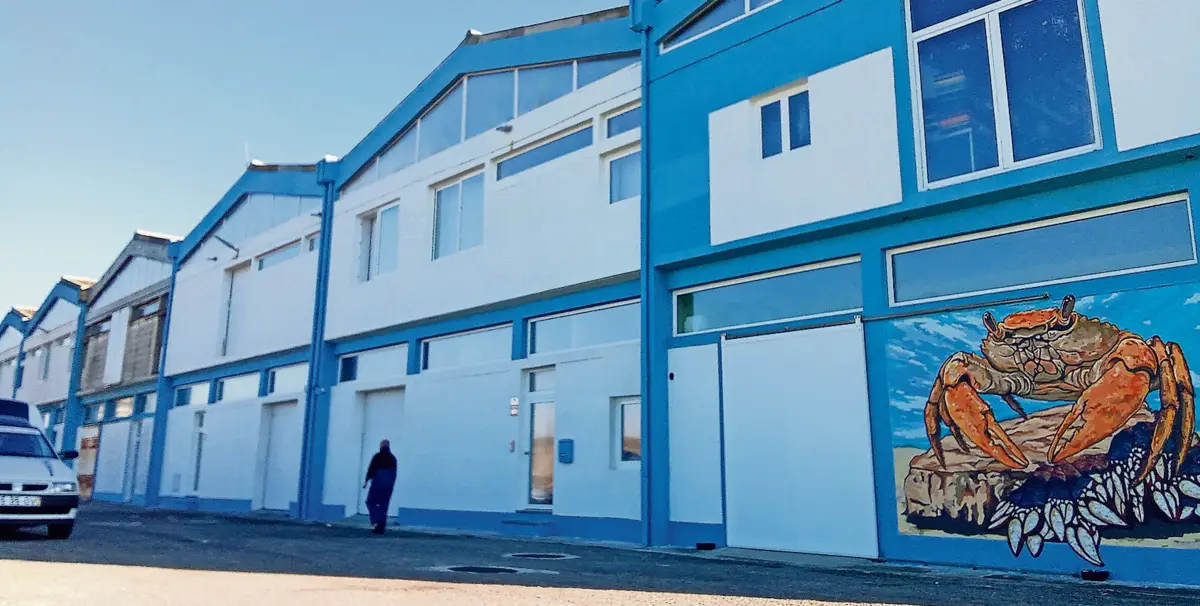 Instalações da Docapesca ficam junto aos dois armazéns com viveiros ilegais