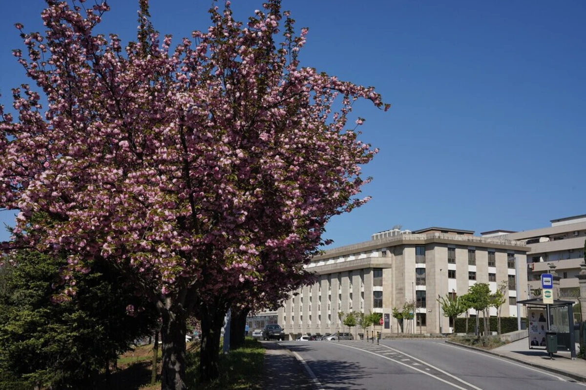 Comarca de Braga considera que Tribunal de Creixomil não tem condições