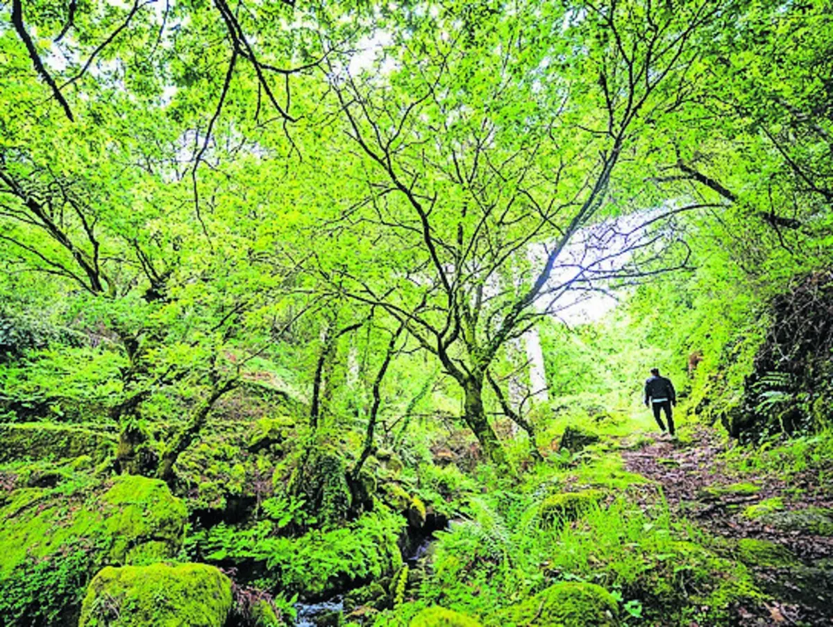 Imagem de contexto do artigo O que deve levar para as suas férias na montanha