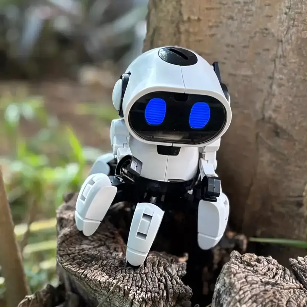 Imagem de contexto do artigo De edifícios vivos a robôs domésticos multitarefas, veja como a ciência está a reimaginar 2026