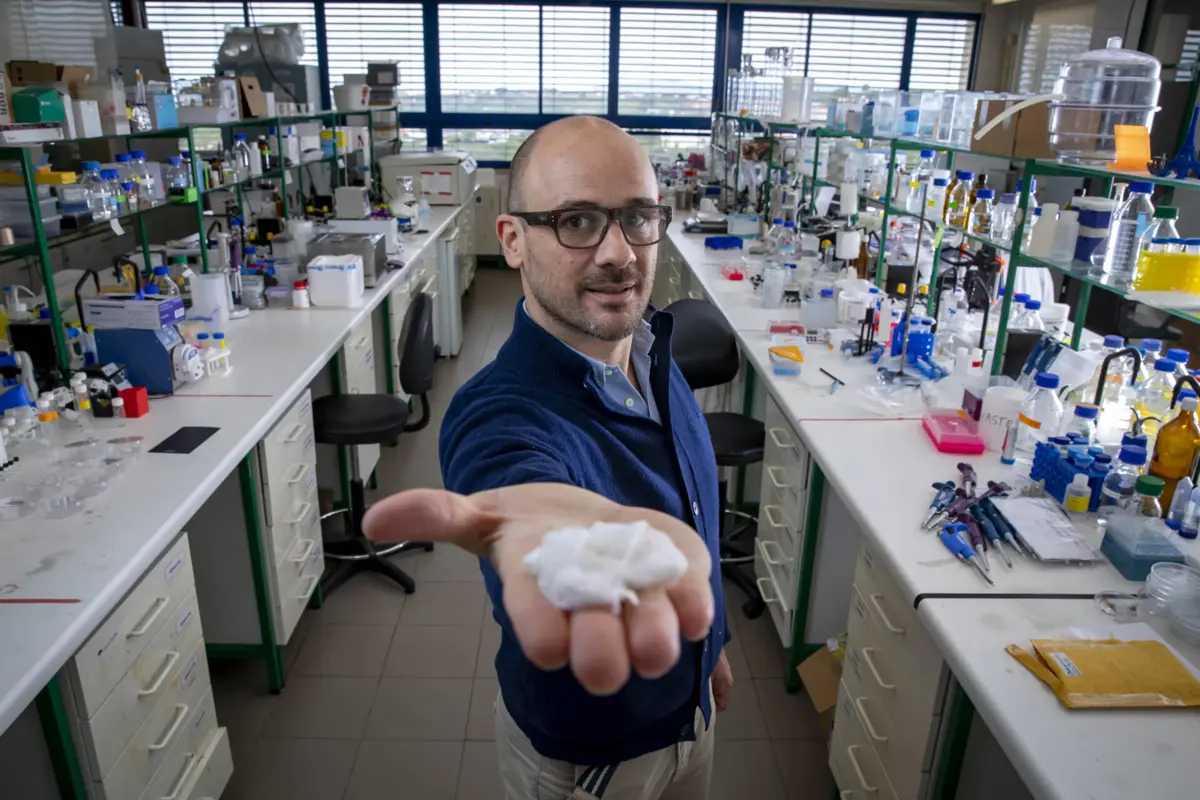 Filipe Natálio vai receber bolsa de 150 mil euros