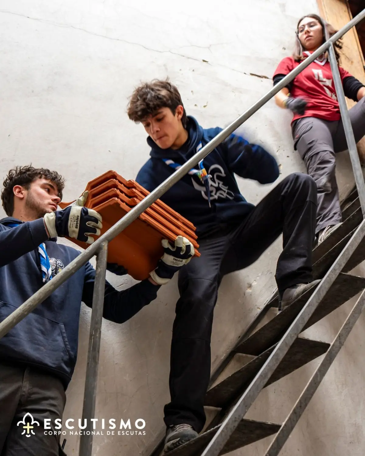 Escuteiros ajudam no terreno