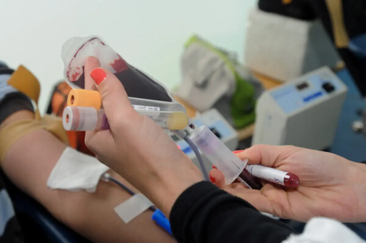 Diariamente, os hospitais portugueses precisam de, aproximadamente, 1.100 unidades de sangue